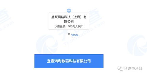 盛躍網(wǎng)絡布局贛西，宜春科技公司成立開啟區(qū)域業(yè)務新篇章